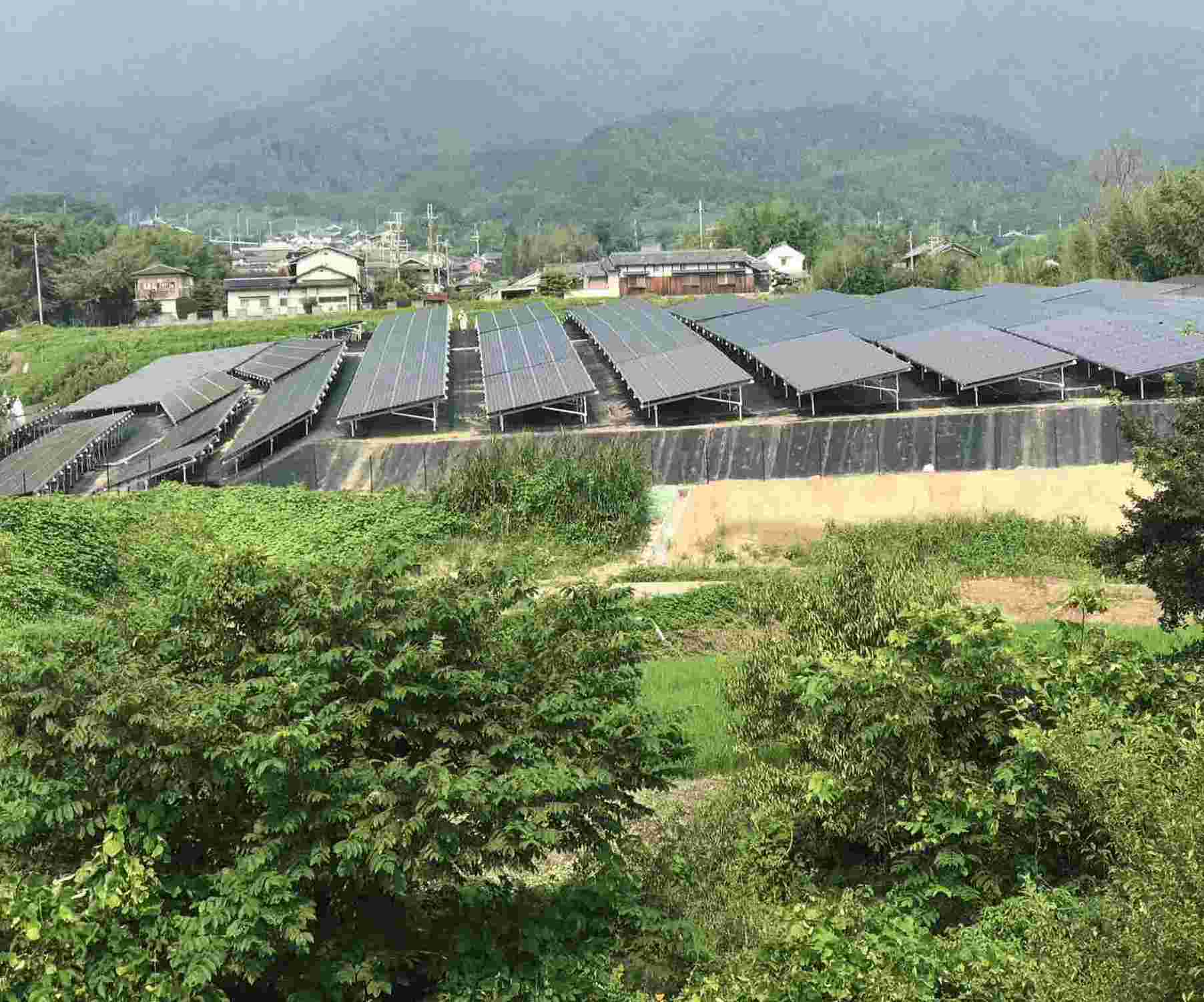 Montagem fotovoltaica em campos de encosta